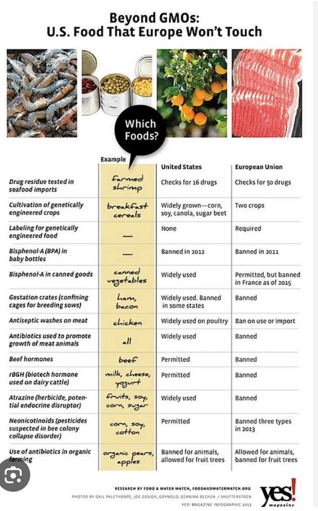 Banned foods in the world